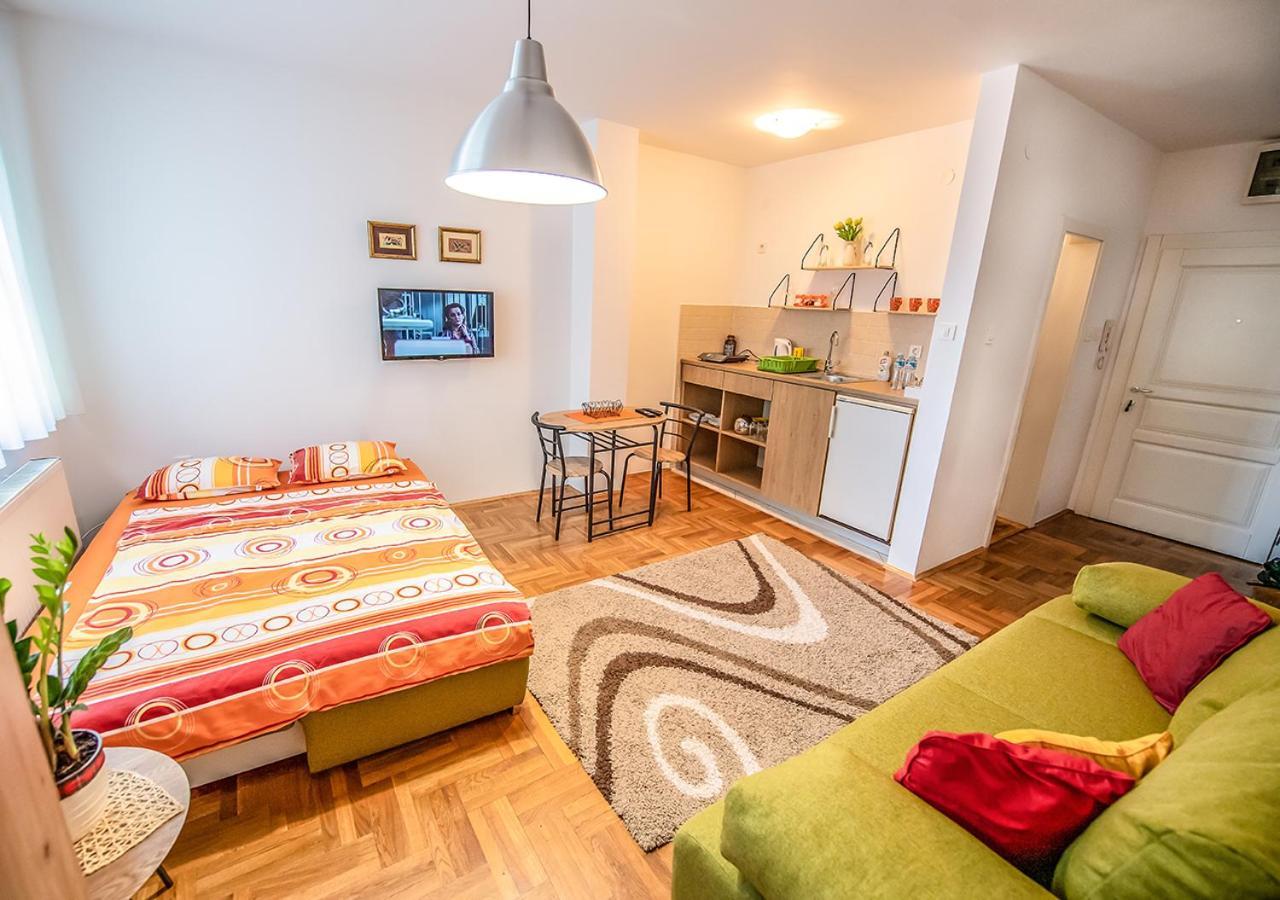 Mina Penthouse Appartement Novi Sad Buitenkant foto